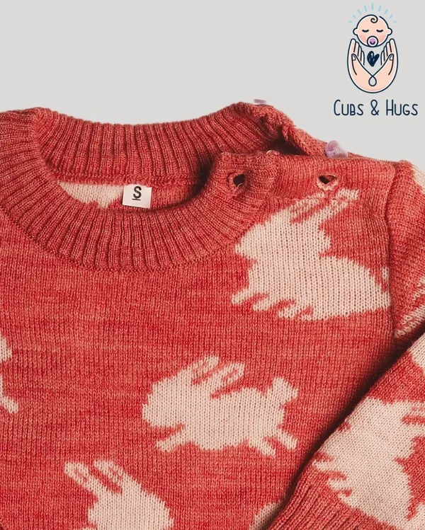 Pink_Woolen_Full_Sleeves_Baby_Sweater_Pullover_Cardigan
