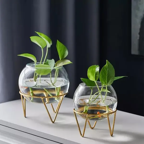 Pack_Of_2_Gold_Modern_Glass_Plant_Holder_For_Home_Decoration