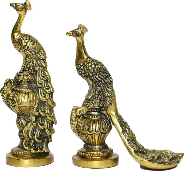 Golden_Metal_Pair_Of_Kissing_Peacock_Love_Birds_Decorative_Showpiece