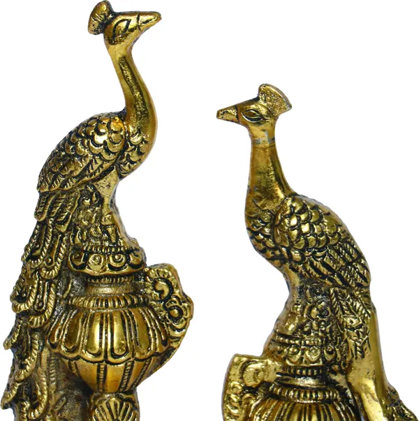 Golden_Metal_Pair_Of_Kissing_Peacock_Love_Birds_Decorative_Showpiece
