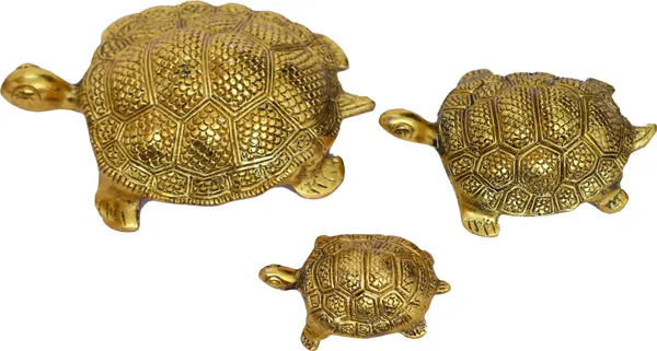 Golden_Metal_Feng_Shui_Set_Of_3_Tortoise_Family_For_Good_Luck_Decorative_Showpiece