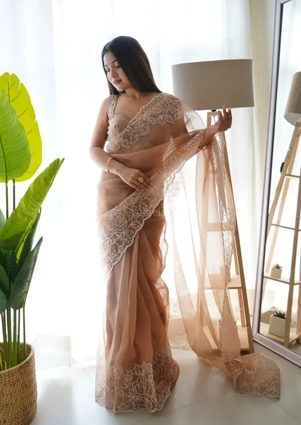 Brown_Khadi_Organza_Embroidered_Saree_For_Women