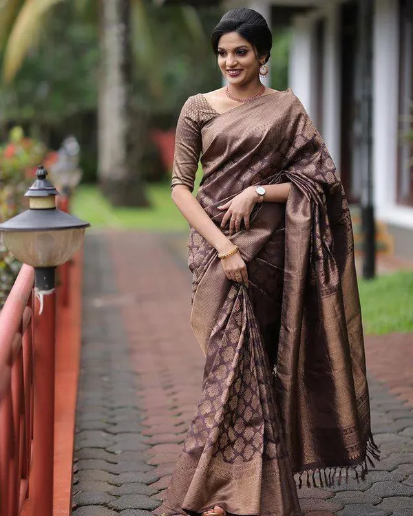 Brown_Embellished_Banarasi_Jacquard_Saree_(Brown)_For_Women