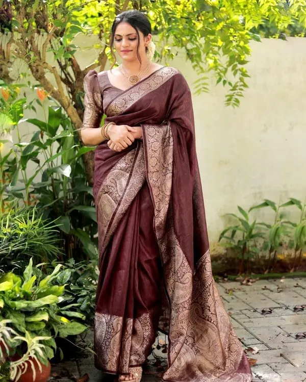 Brown_Embellished_Banarasi_Jacquard_Saree_(Brown)_For_Women