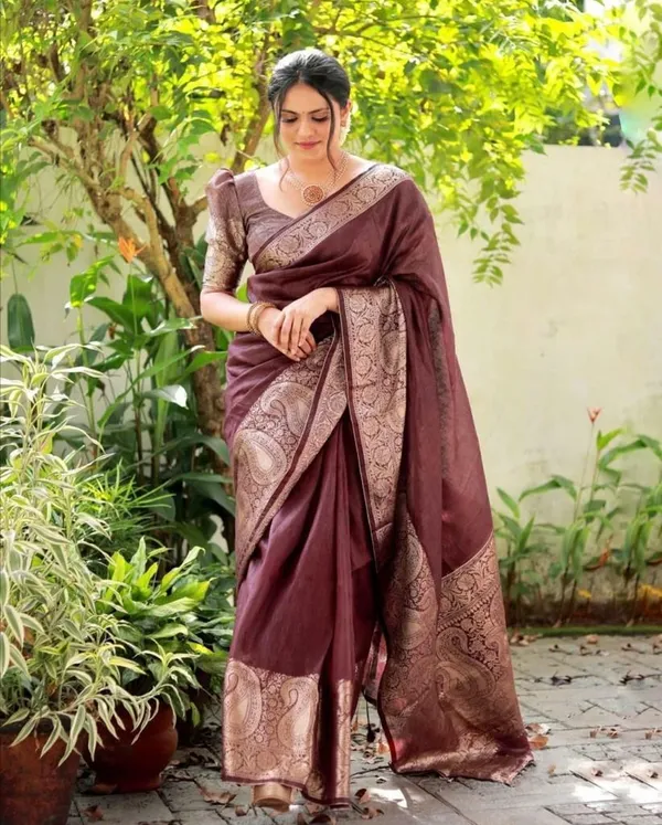 Brown_Embellished_Banarasi_Jacquard_Saree_(Brown)_For_Women