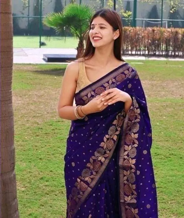 Dark_Blue_Embellished_Banarasi_Jacquard_Saree_(Dark_Blue)_For_Women