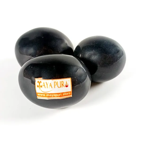 MAYAPURI_Natural_Shaligram_Shila_For_Lord_Vishnu_Puja_|_Shaligram_Stone_For_Tulsi_Pooja
