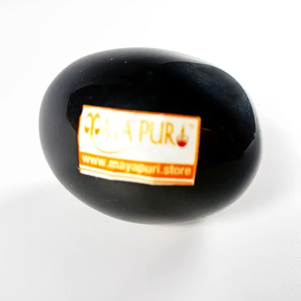 MAYAPURI_Natural_Shaligram_Shila_For_Lord_Vishnu_Puja_|_Shaligram_Stone_For_Tulsi_Pooja