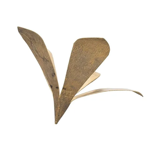 MAYAPURI_Golden_Pure_Brass_Amra_Pallav_Or_Original_Pital_Aam_Patta_/Pooja_Mango_Leaves_For_Daily_Puja_|_Mango_Leaf_(Pack_Of_1)