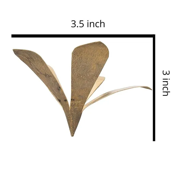 MAYAPURI_Golden_Pure_Brass_Amra_Pallav_Or_Original_Pital_Aam_Patta_/Pooja_Mango_Leaves_For_Daily_Puja_|_Mango_Leaf_(Pack_Of_1)