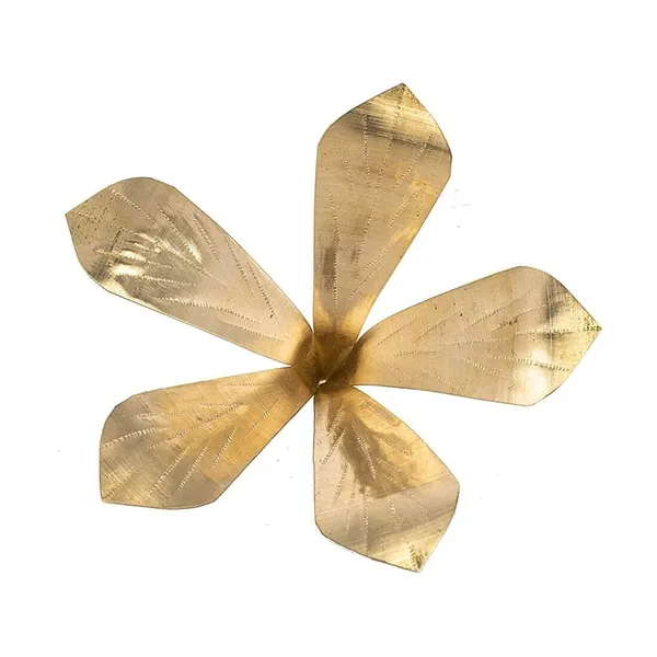 MAYAPURI_Golden_Pure_Brass_Amra_Pallav_Or_Original_Pital_Aam_Patta_/Pooja_Mango_Leaves_For_Daily_Puja_|_Mango_Leaf_(Pack_Of_1)