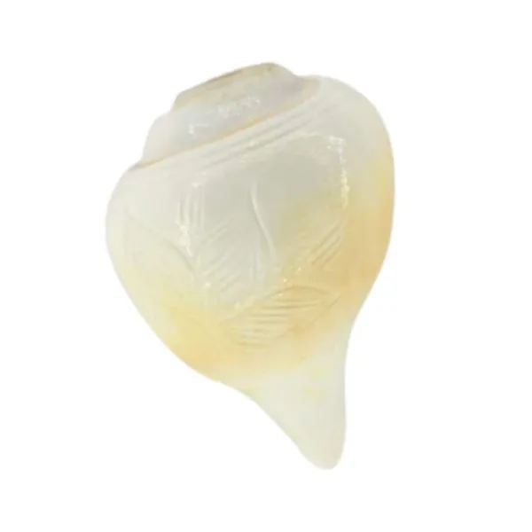 MAYAPURI_Sacred_White_Blowing_Shank_for_Pooja_|_Original_3.5-Inch_Bajane_Wala_Shankha_|_Divine_Sound_&_Spiritual_Purity