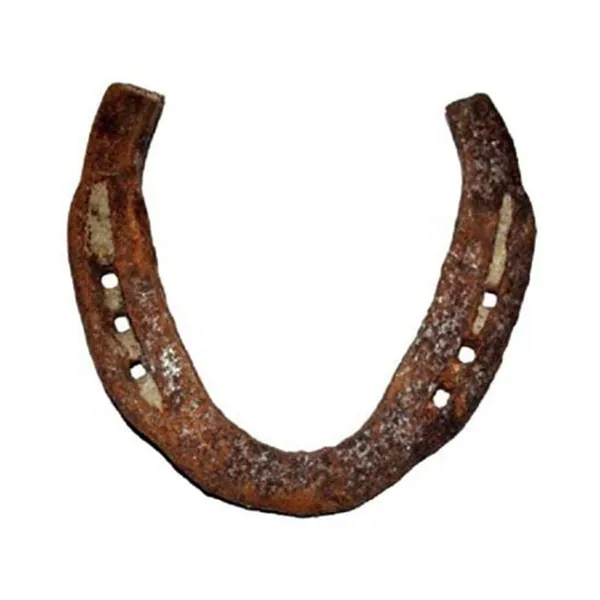 MAYAPURI_Kale_Godhe_Ki_Naal_/Black_Horse_Shoe_For_Good_Luck_(Pack_Of_1)