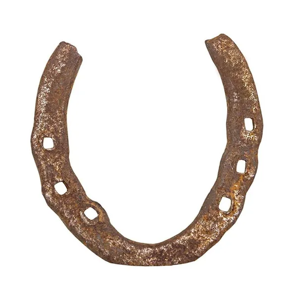MAYAPURI_Kale_Godhe_Ki_Naal_/Black_Horse_Shoe_For_Good_Luck_(Pack_Of_1)