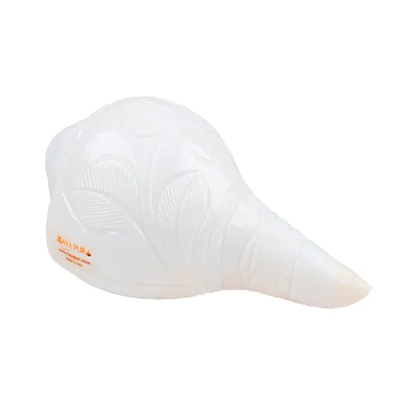 MAYAPURI_White_Vamavarti_Engraved_Design_Loud_Blowing_Shankh_For_Pooja_Original,_12-13_cm_|_Sacred_Pooja_Conch_Shell_for_Rituals,_Bajane_Wala_Shankh