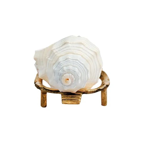 MAYAPURI_Natural_Conch_Shell_With_Stand_For_Pooja,_Decoration_And_Aquarium_Home_Mandir_&_Pooja_Articles(Pack_Of_1)