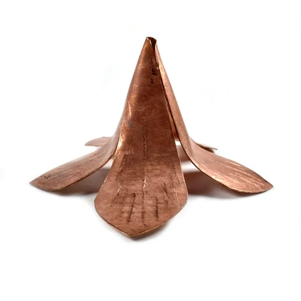 MAYAPURI__Copper_Amra_Pallav_/Aam_Patta_/Pooja_Mango_Leaf_For_Puja