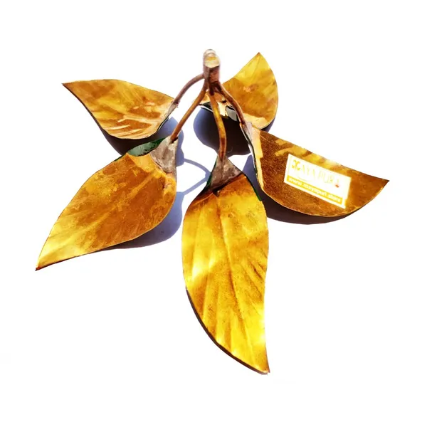 MAYAPURI_Golden_Brass_Mango_Leaves_For_Pooja_/Brass_Amra_Pallav_/Pital_Puja_Aam_Pata
