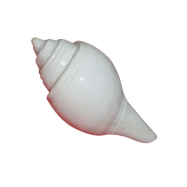 MAYAPURI_Pure_White_Divine_Jal_Shank_–_Sacred_3.5-Inch_Non-Blowing_Conch_Shell_for_Pooja_&_Abhishekam_Rituals