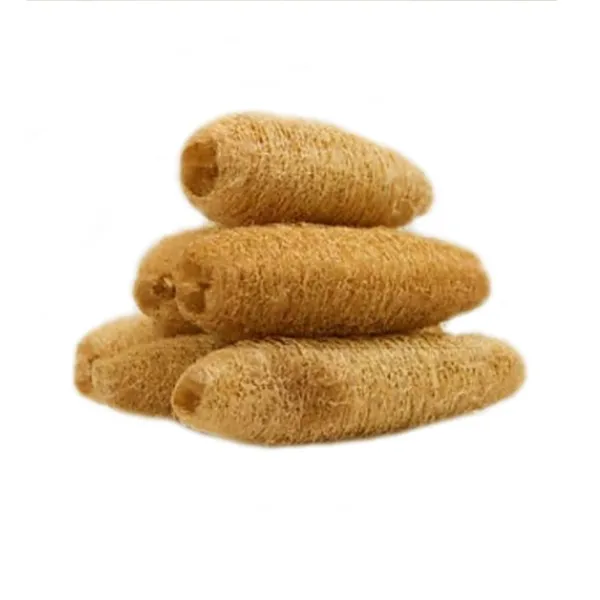 ATNAYAJ_Unisex_Organic_Loufah_/Loofah_Sponge_Body_Scrubber,_Chemical_Free,_Eco_Friendly_(Pack_Of_5)
