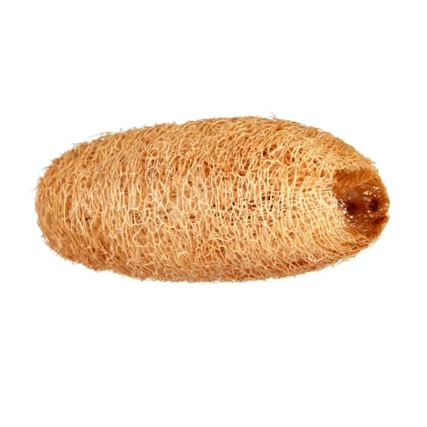 ATNAYAJ_Unisex_Organic_Loufah_/Loofah_Sponge_Body_Scrubber,_Chemical_Free,_Eco_Friendly_(Pack_Of_5)
