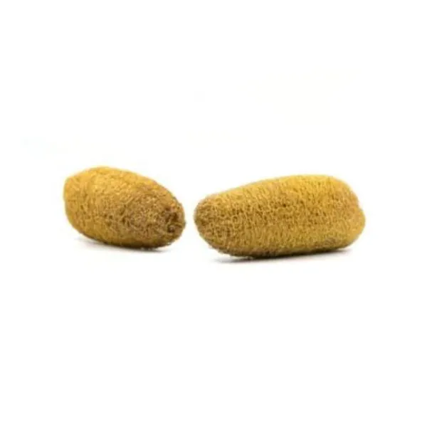 ATNAYAJ_Unisex_Organic_Loufah_/Loofah_Sponge_Body_Scrubber,_Chemical_Free,_Eco_Friendly_(Pack_Of_5)