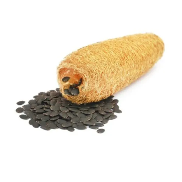 ATNAYAJ_Unisex_Organic_Loufah_/Loofah_Sponge_Body_Scrubber,_Chemical_Free,_Eco_Friendly_(Pack_Of_5)