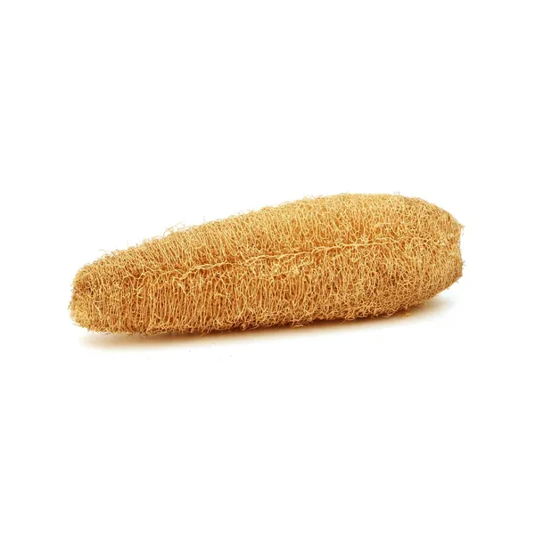 ATNAYAJ_Unisex_Organic_Loufah_/Loofah_Sponge_Body_Scrubber,_Chemical_Free,_Eco_Friendly_(Pack_Of_5)