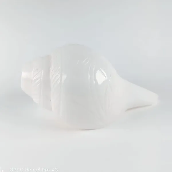 MAYAPURI_White_Loud_Blowing_Shank_For_Puja,_Natural_Blowing_Sankha,_Bajane_Wala_Shank_6_Inches