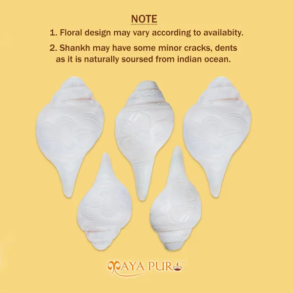 MAYAPURI_White_Loud_Blowing_Shank_For_Puja,_Natural_Blowing_Sankha,_Bajane_Wala_Shank_6_Inches