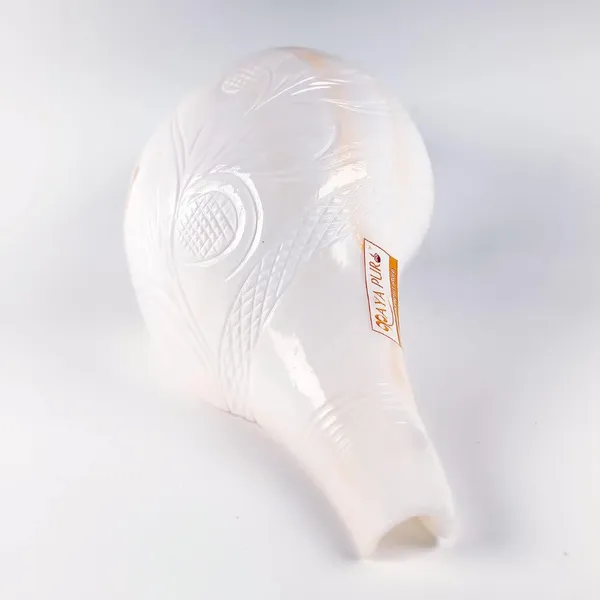 MAYAPURI_White_Loud_Blowing_Shank_For_Puja,_Natural_Blowing_Sankha,_Bajane_Wala_Shank_6_Inches