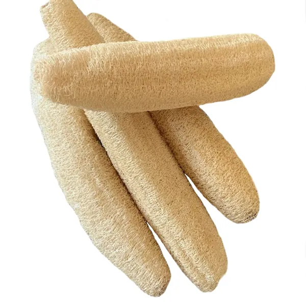 ATNAYAJ_Natural_Organic_Loofah,_Body_Scrubber_/Bathing_Sponge_For_Unisex,_(Pack_Of_5)