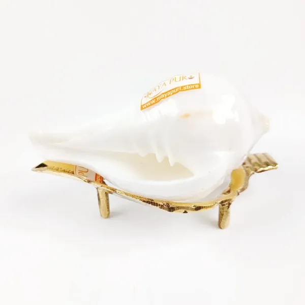 MAYAPURI_White_Original_Small_Jal_Shank_with_Brass_Stand_|_Sacred_Pooja_Conch_Shell_for_Abhishek_Rituals_(Approx._3.5_Inches)