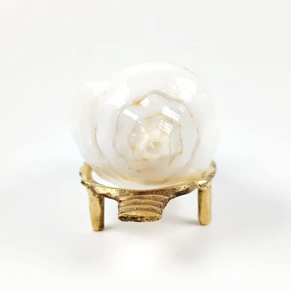 MAYAPURI_White_Original_Small_Jal_Shank_with_Brass_Stand_|_Sacred_Pooja_Conch_Shell_for_Abhishek_Rituals_(Approx._3.5_Inches)