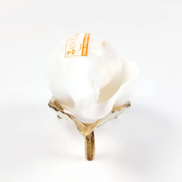 MAYAPURI_White_Original_Small_Jal_Shank_with_Brass_Stand_|_Sacred_Pooja_Conch_Shell_for_Abhishek_Rituals_(Approx._3.5_Inches)