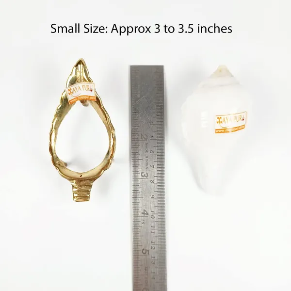 MAYAPURI_White_Original_Small_Jal_Shank_with_Brass_Stand_|_Sacred_Pooja_Conch_Shell_for_Abhishek_Rituals_(Approx._3.5_Inches)