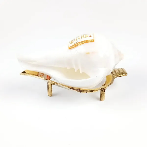 MAYAPURI_White_Original_Small_Jal_Shank_with_Brass_Stand_|_Sacred_Pooja_Conch_Shell_for_Abhishek_Rituals_(Approx._3.5_Inches)