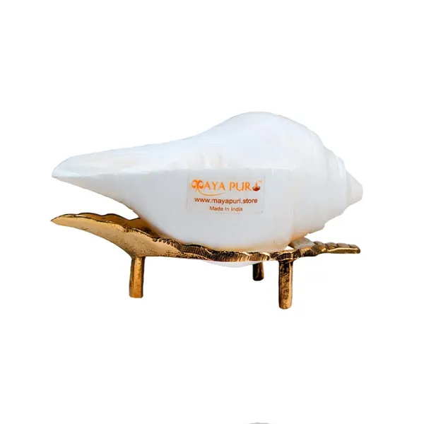 MAYAPURI_Authentic_Non-Blowing_Jal_Shank_(Pani_Shank)_With_Brass_Stand_For_Pooja_Abhishekam,_Size:_7-8_CM