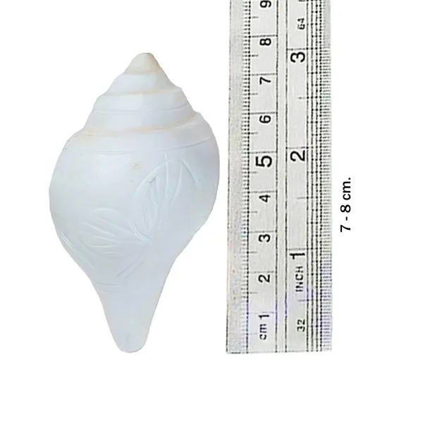 MAYAPURI_Authentic_Non-Blowing_Jal_Shank_(Pani_Shank)_With_Brass_Stand_For_Pooja_Abhishekam,_Size:_7-8_CM