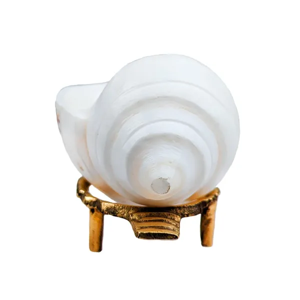MAYAPURI_Authentic_Non-Blowing_Jal_Shank_(Pani_Shank)_With_Brass_Stand_For_Pooja_Abhishekam,_Size:_7-8_CM