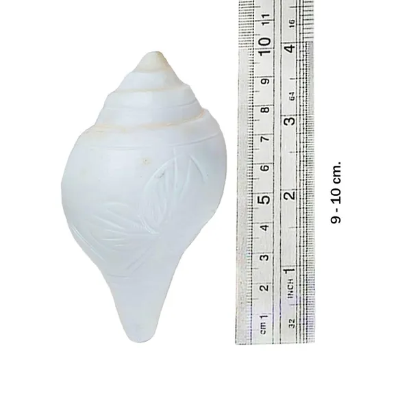 MAYAPURI_Authentic_Jal_Shank_(Pani_Shank)_with_Brass_Stand_|_Sacred_9-10_CM_Conch_for_Pooja_&_Abhishekam_|_Divine_Ritual_Accessory