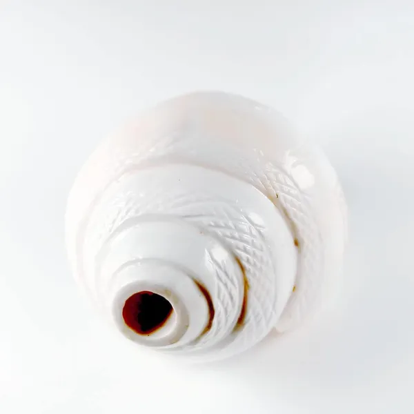 MAYAPURI_White_Sacred_Loud_Blowing_Shank_|_5-Inch_Authentic_Puja_Conch_Shell_for_Auspicious_Rituals