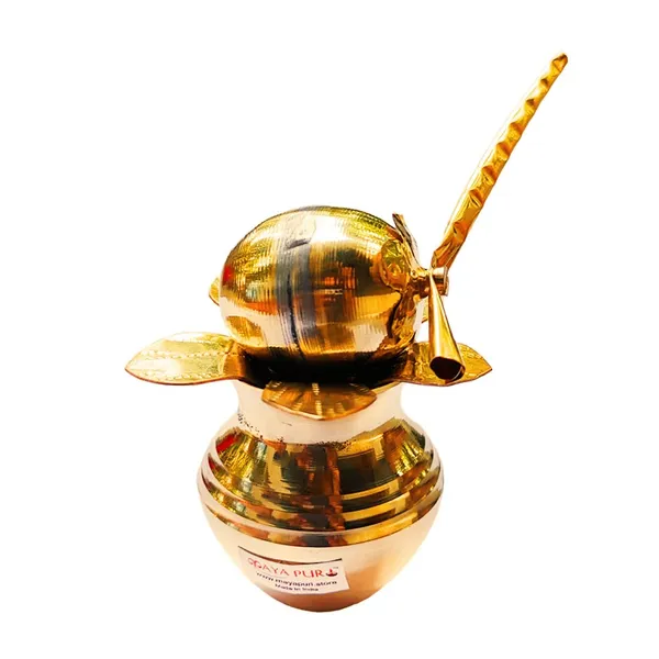 MAYAPURI_Brass_Kalash_With_Coconut_And_Mango_Leaf_For_Daily_Pooja,_Pital_Kalash_Coconut_And_Mango_Leaf_(Combo_Pack)