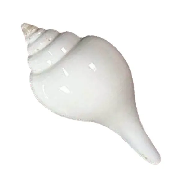 MAYAPURI_White_Premium_Quality_Jal_Shank_For_Puja_|_Conch_Shells