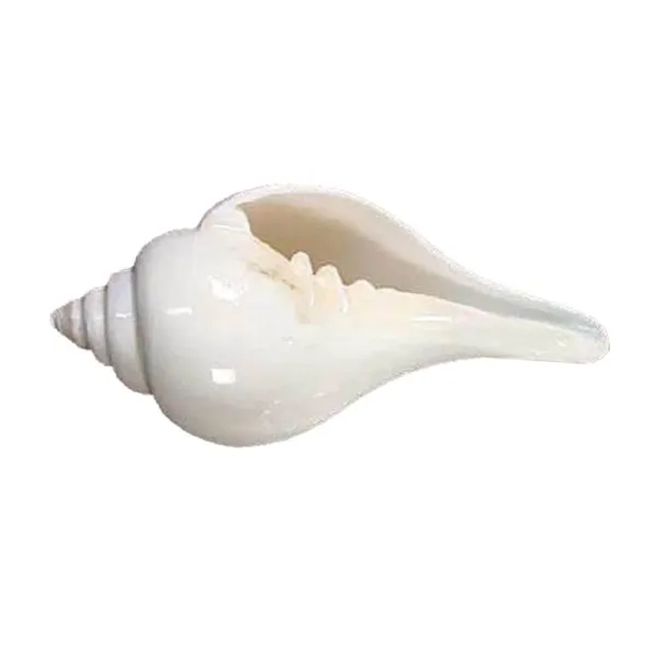 MAYAPURI_White_Premium_Quality_Jal_Shank_For_Puja_|_Conch_Shells