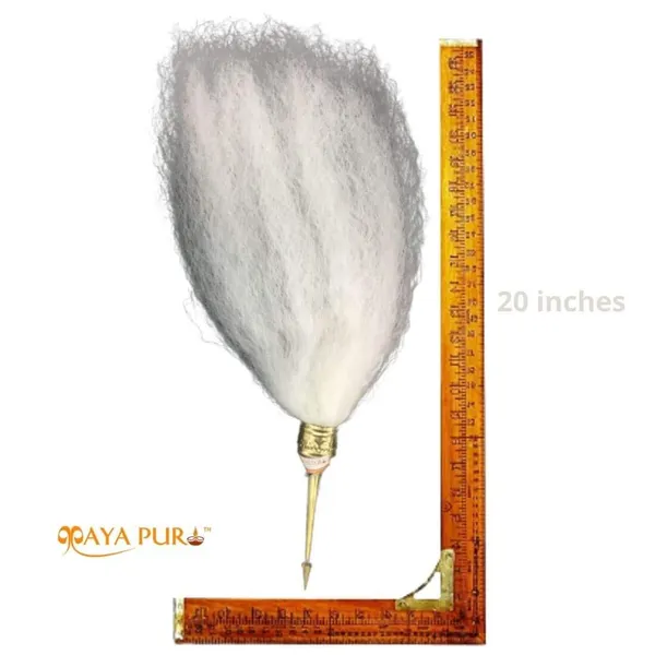 MAYAPURI_Chawar/Chanwara/Chaur/Chavar_Sahib_with_Thin_Brass_Handle_|_Sacred_Fly_Whisk_for_Pooja_and_Spiritual_Rituals_|_Size:_20_Inches
