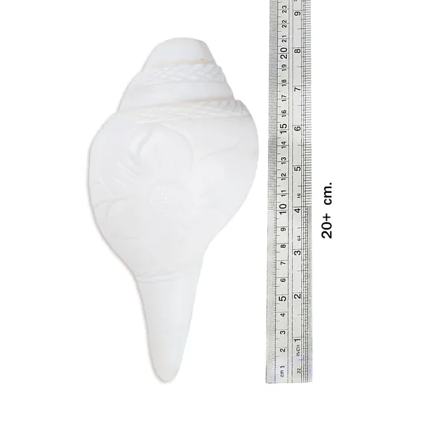 MAYAPURI_White_Vamavarti_Blowing_Shank_|_Engraved_Design_Loud_Conch_for_Pooja_|_Bajane_Wala_Shankha_18-20_Inches