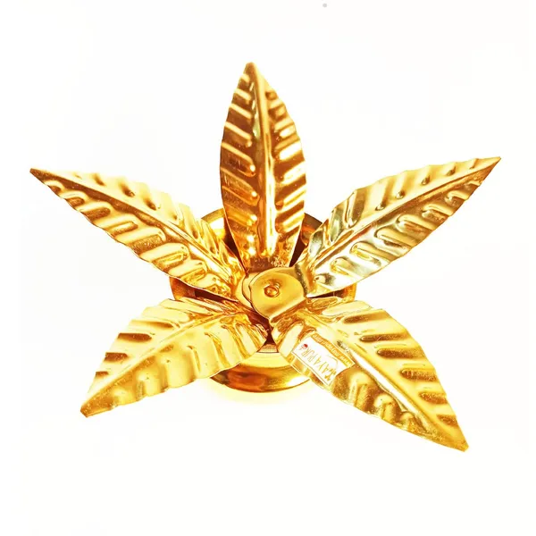 MAYAPURI_Golden_Pital_Amra_Pallav_/Brass_Aam_Patta_/Pooja_Mango_Leaves_For_Puja