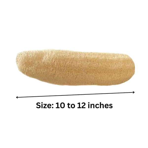 Atnayaj_Natural_Organic_Loofah,_Body_Scrubber_/Bathing_Sponge_For_Unisex,_(Pack_Of_3)