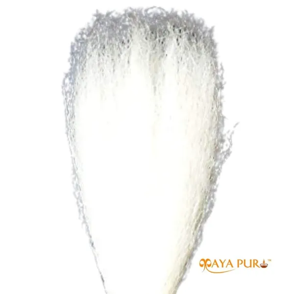 MAYAPURI_Sacred_Whisk_Fan_for_Puja_–_Original_Chaur_Sahib_with_Brass_Handle_for_Spiritual_Worship_and_Ceremonies